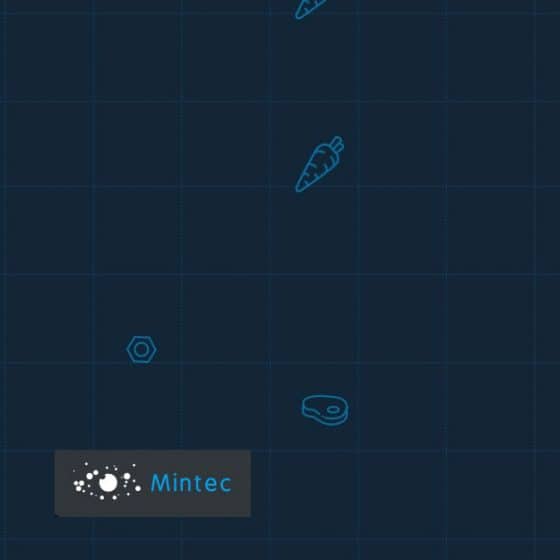 Mintec case study